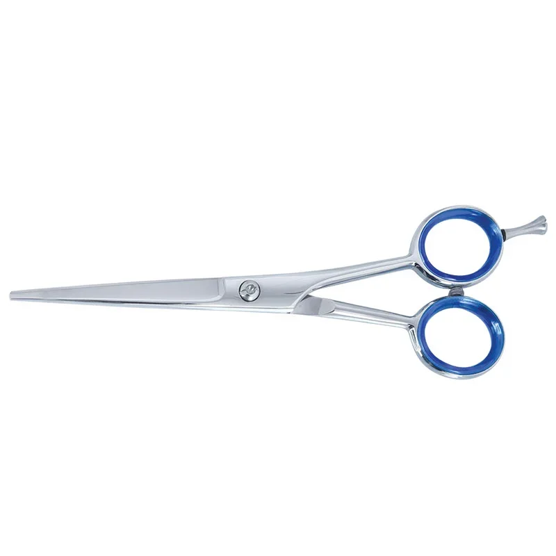 Professional Hair Dressing Scissors