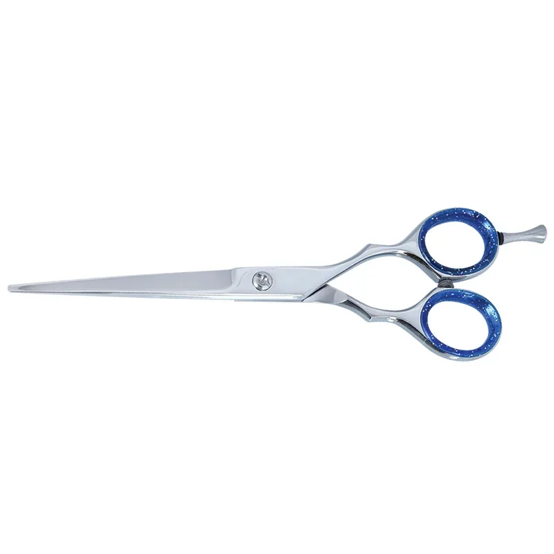 Professional Hair Dressing Scissors