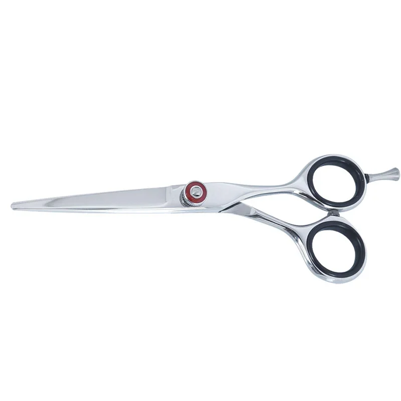 Professional Hair Dressing Scissors