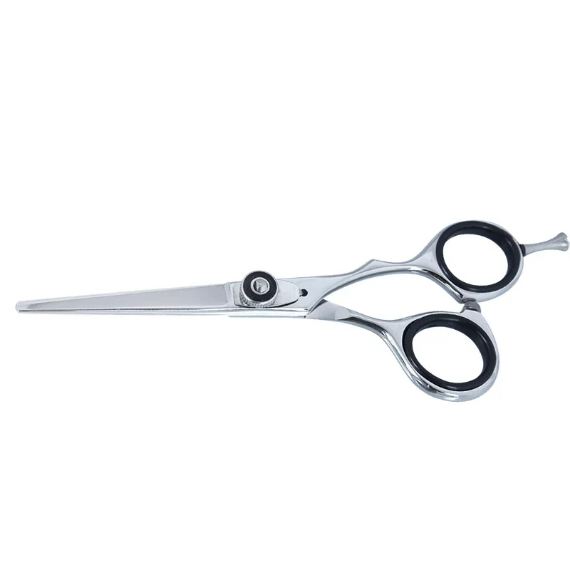Professional Hair Dressing Scissors
