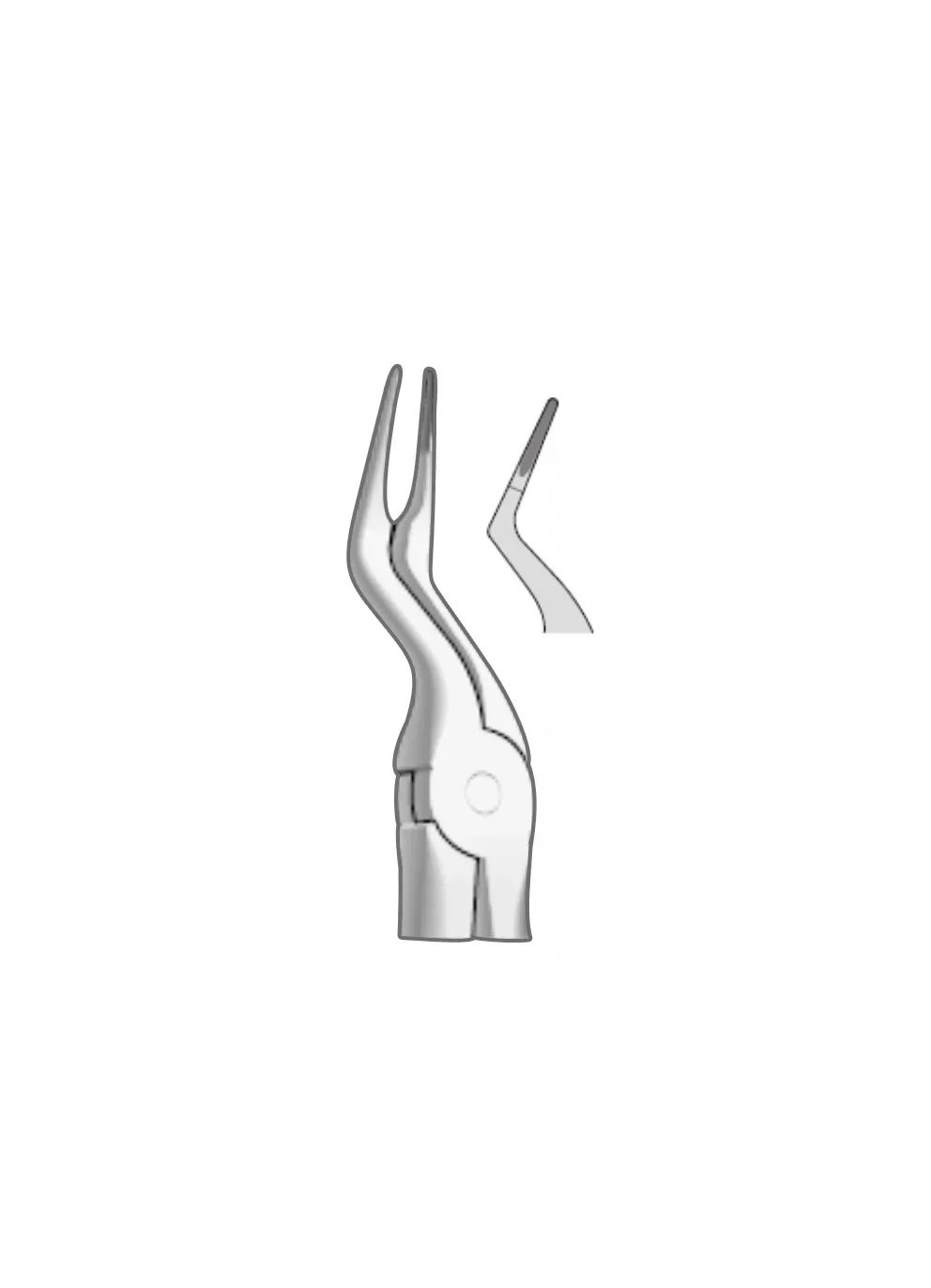 EXTRACTION FOCEPS WITH ANATOMICAL GRIP