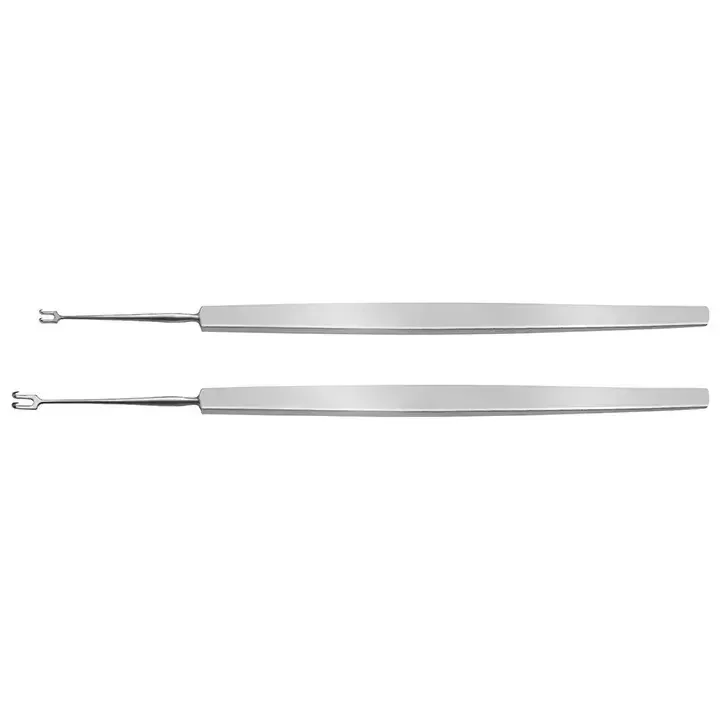 Fixation Hook