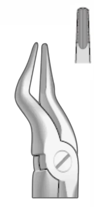 EXTRACTION FOCEPS WITH ANATOMICAL GRIP